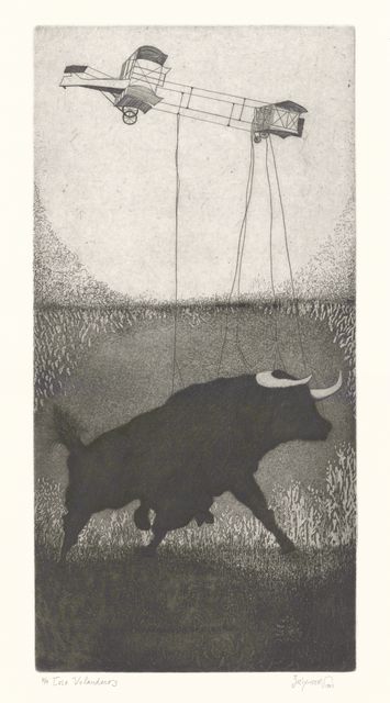Toro Volandero 3