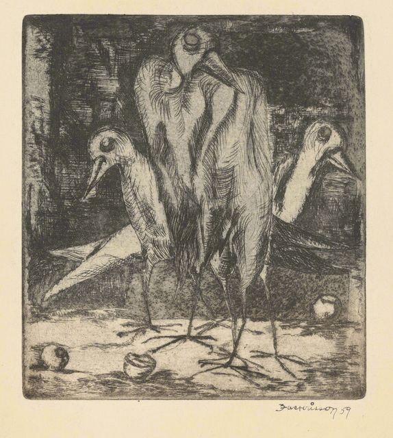 Pájaros