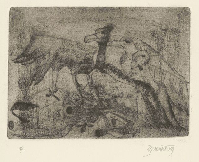 Gallinazos
