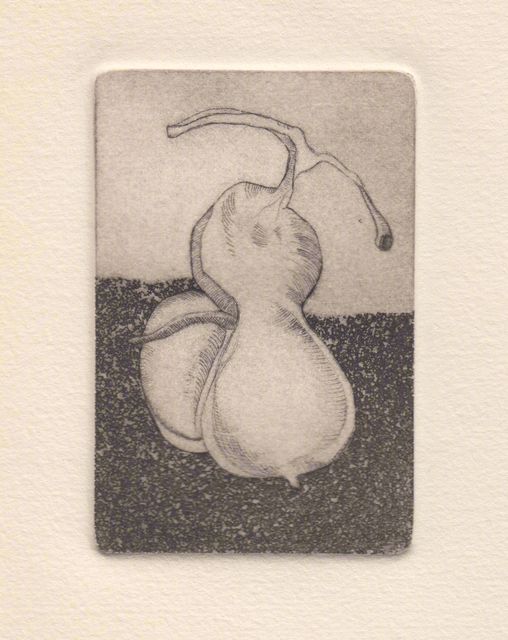 Calabaza